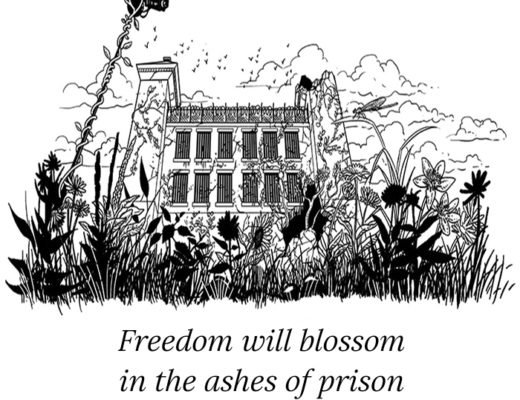 Image shows the ruins of a prison covered by plants