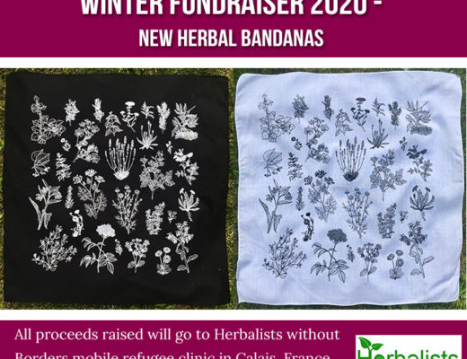 HWB Bandana Call Out