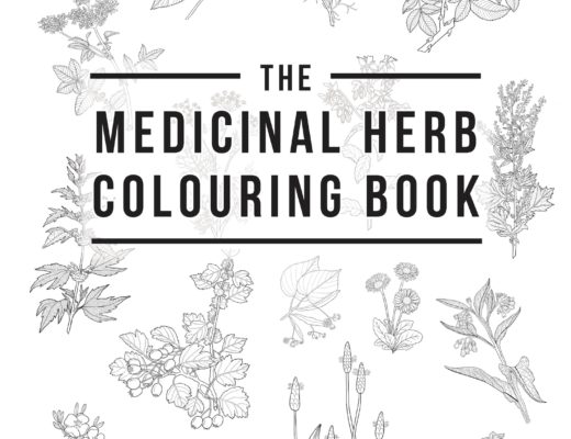 The Medicinal Herb Colouring Book