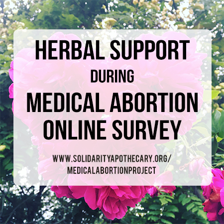 Image shows a picture of roses overlayed with a white square and text saying “Herbal Support during Medical Abortion Online Survey”