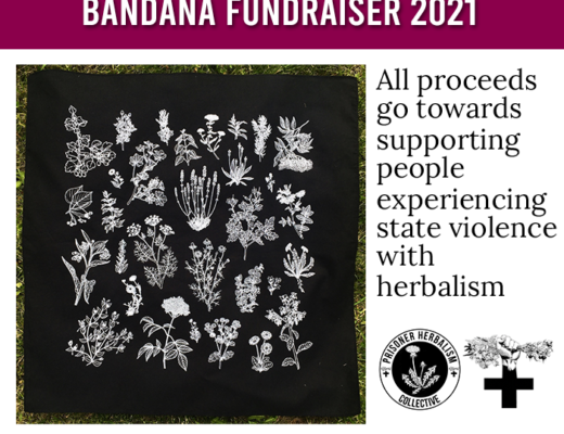 Image shows a black bandana with plant illustrations