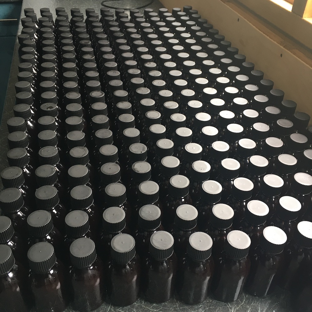 Free Guide: Elderberry Cough Syrup - Image 2