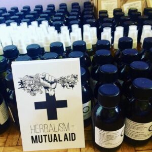 Practical Medicine Making Course - June 2025