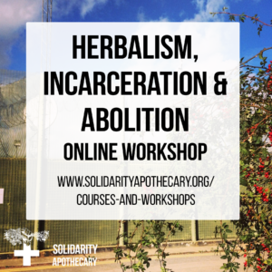 Free Workshop: Herbalism, Incarceration and Abolition Workshop